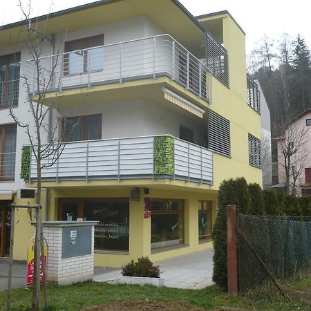 Apartman Anezka Luhacovice Bagian luar foto